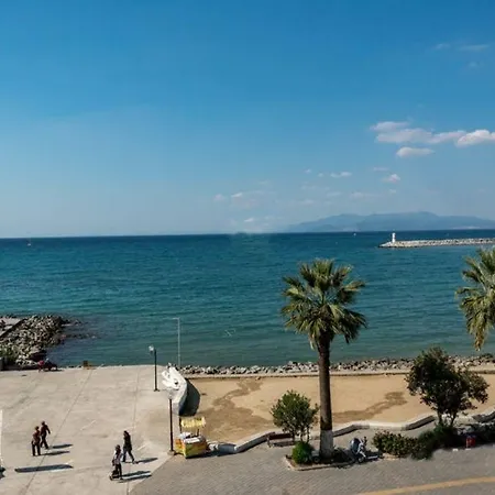 Ilayda Kusadası